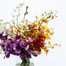 Load image into Gallery viewer, Orchid Rhapsody