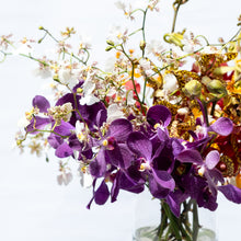 Load image into Gallery viewer, Orchid Rhapsody