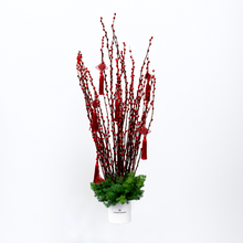 Load image into Gallery viewer, Red Willow Box