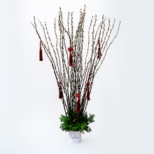 Load image into Gallery viewer, White Willow Box