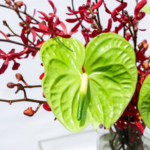 Load image into Gallery viewer, Jade