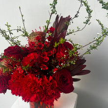 Load image into Gallery viewer, Lucienne