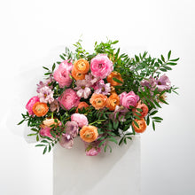 Load image into Gallery viewer, Ranae