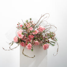 Load image into Gallery viewer, Seren