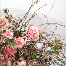 Load image into Gallery viewer, Seren