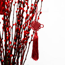 Load image into Gallery viewer, Red Willow Box