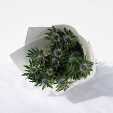 Load image into Gallery viewer, Charm Capsule