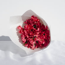 Load image into Gallery viewer, Charm Capsule