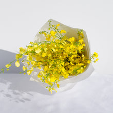 Load image into Gallery viewer, Charm Capsule