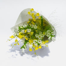 Load image into Gallery viewer, Darling Dispatch