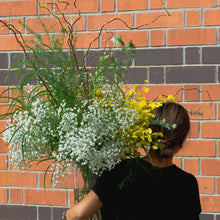 Load image into Gallery viewer, Explo