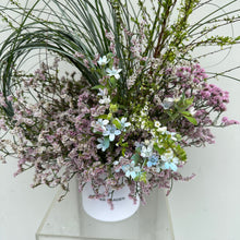 Load image into Gallery viewer, Clara