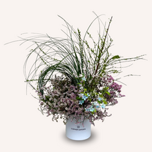 Load image into Gallery viewer, Clara