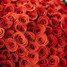 Load image into Gallery viewer, 99 Roses