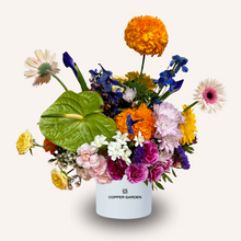 Load image into Gallery viewer, Daily Still Classic