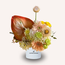 Load image into Gallery viewer, Daily Still Pastel