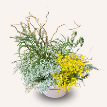 Load image into Gallery viewer, Explo